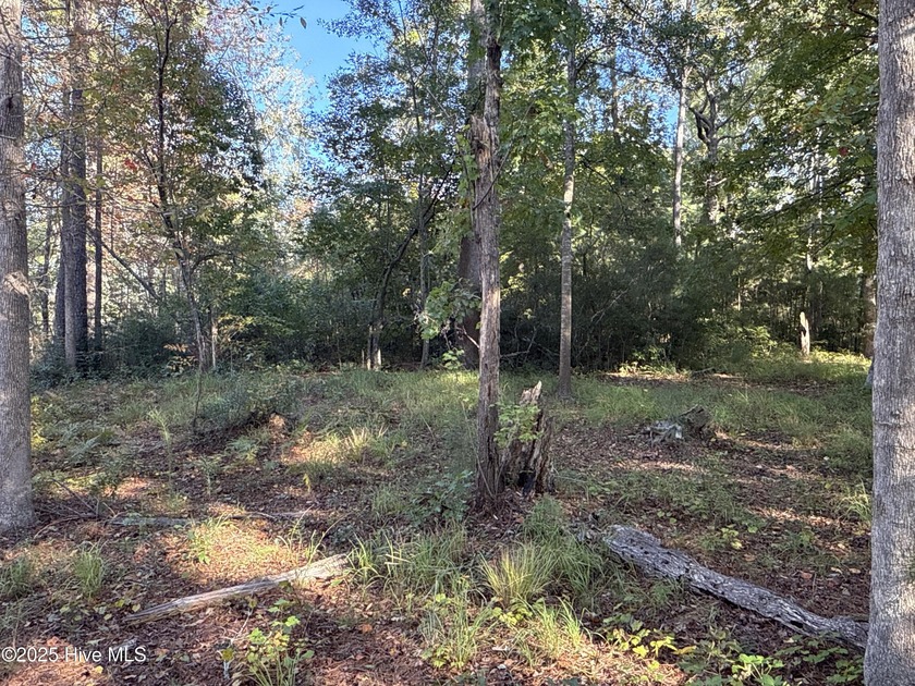 Located at beautiful 338 Southern Way (Lot 61) in the desirable - photo 16