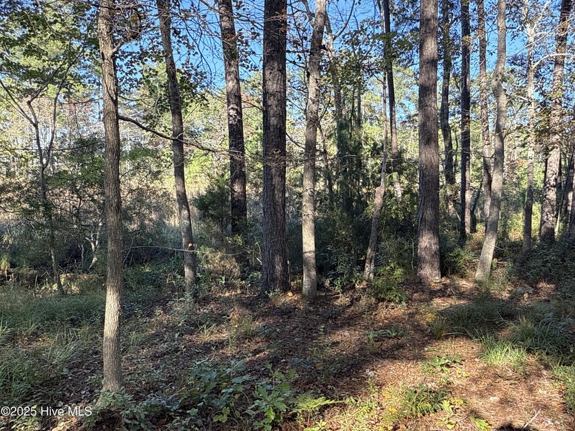 Located at beautiful 338 Southern Way (Lot 61) in the desirable - photo 17