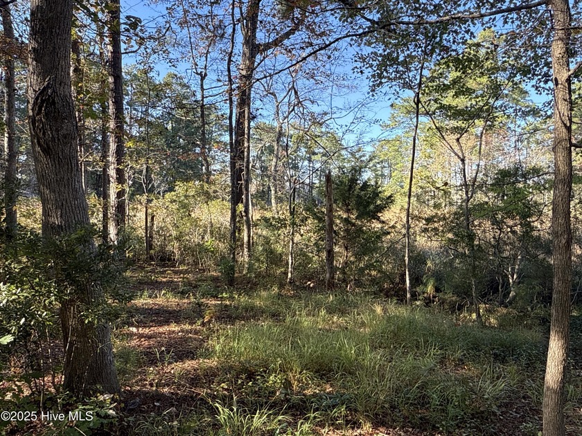 Located at beautiful 338 Southern Way (Lot 61) in the desirable - photo 18