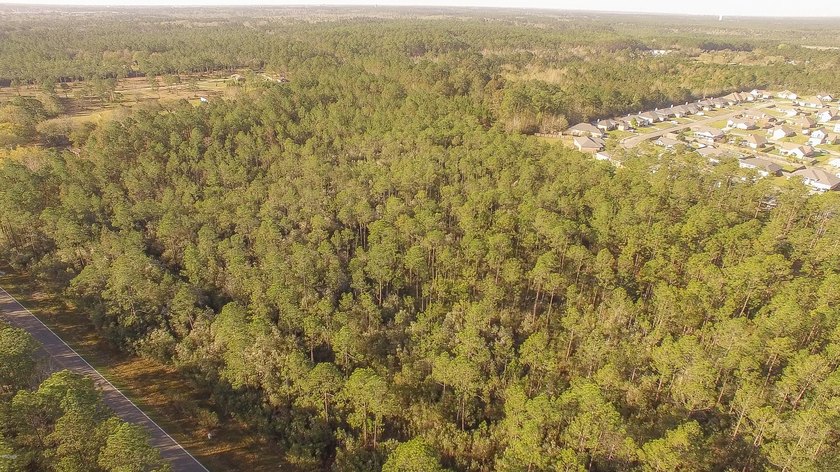 Excellent development site - surrounded by Bridgewood and - photo 12