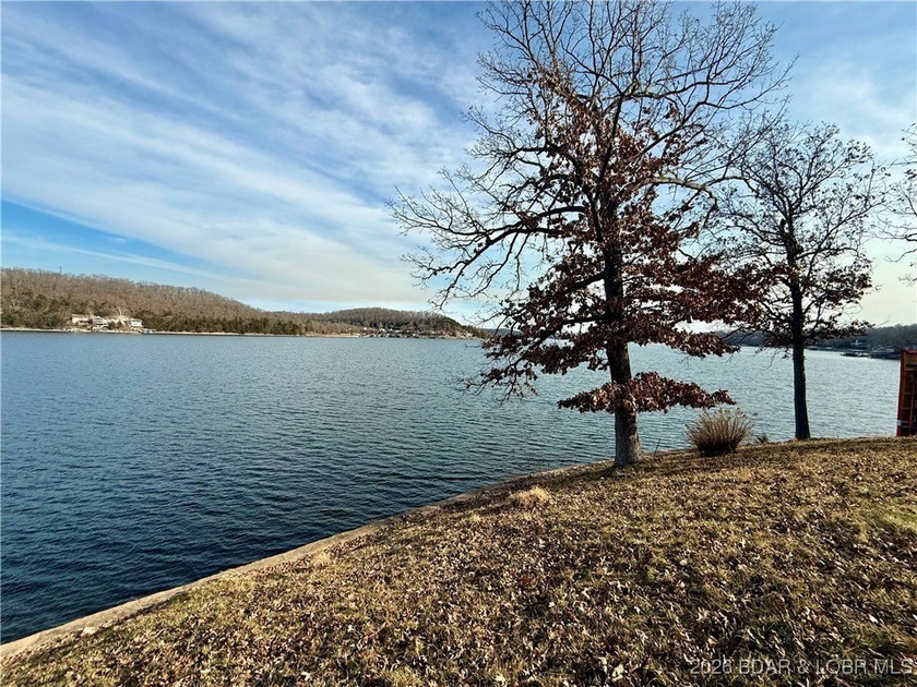 Gravois Arm Lakefront Lot with Seawall, Utilities, Bonus Parking - photo 4