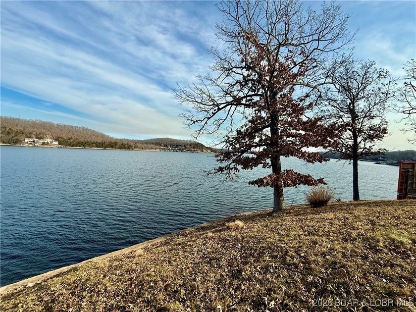 Gravois Arm Lakefront Lot with Seawall, Utilities, Bonus Parking - photo 10