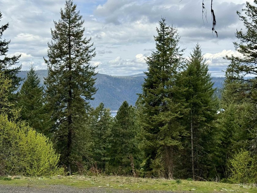 Discover 4 acres of land just minutes from the scenic Clearwater - photo 3