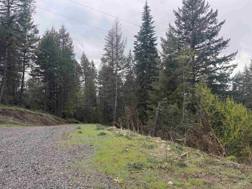 Discover 4 acres of land just minutes from the scenic Clearwater - photo 8