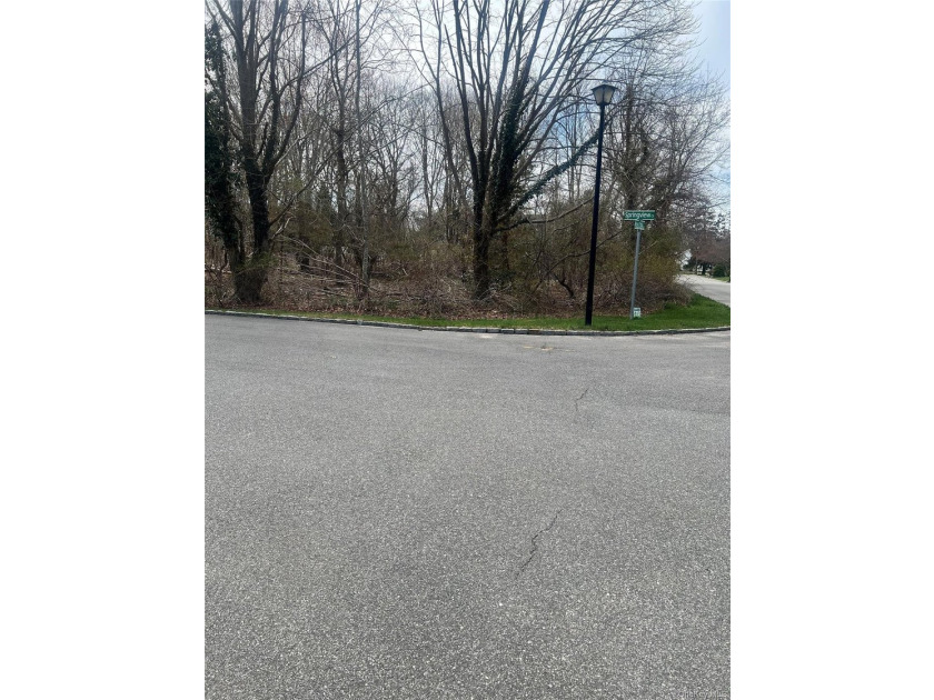 This spacious 1.11-acre level lot is tucked away in a cul-de-sac - photo 5