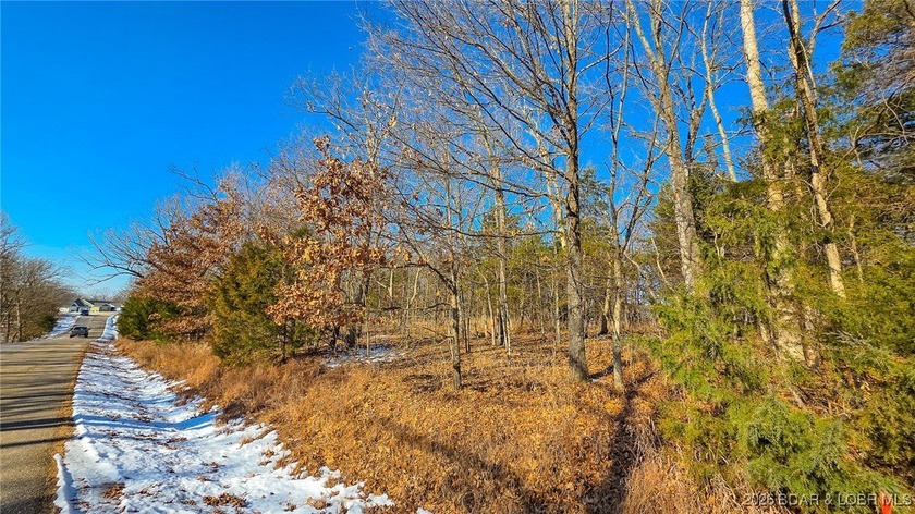 Located in the prestigious Porto Cima community, this 0.52-acre - photo 2