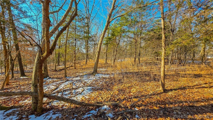 Located in the prestigious Porto Cima community, this 0.52-acre - photo 3