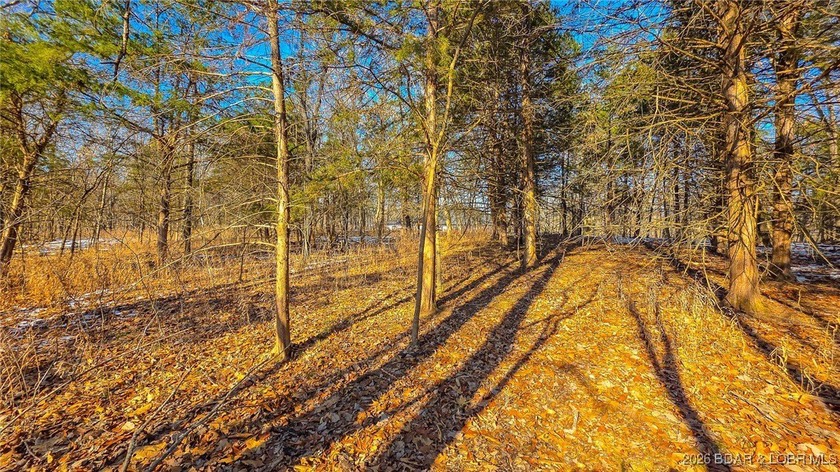 Located in the prestigious Porto Cima community, this 0.52-acre - photo 5