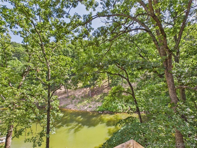 Finding a lakefront property with both great water access and - photo 42