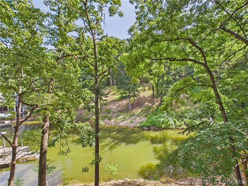 Finding a lakefront property with both great water access and - photo 47
