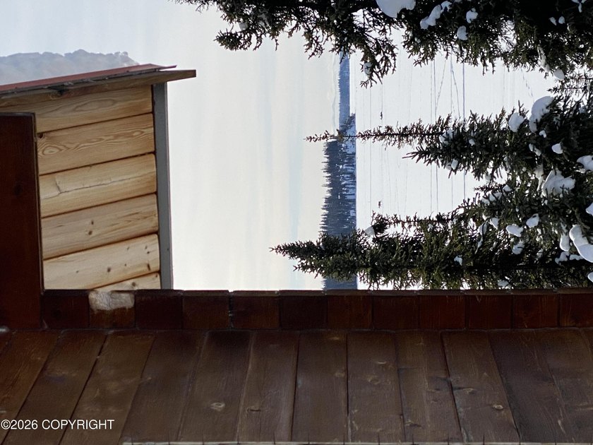 Cute Lindahl Cedar cabin on 4 acres of lakefront. Great fishing - photo 21