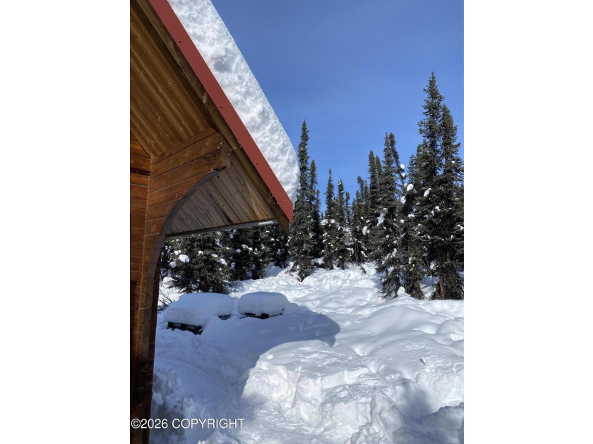 Cute Lindahl Cedar cabin on 4 acres of lakefront. Great fishing - photo 22