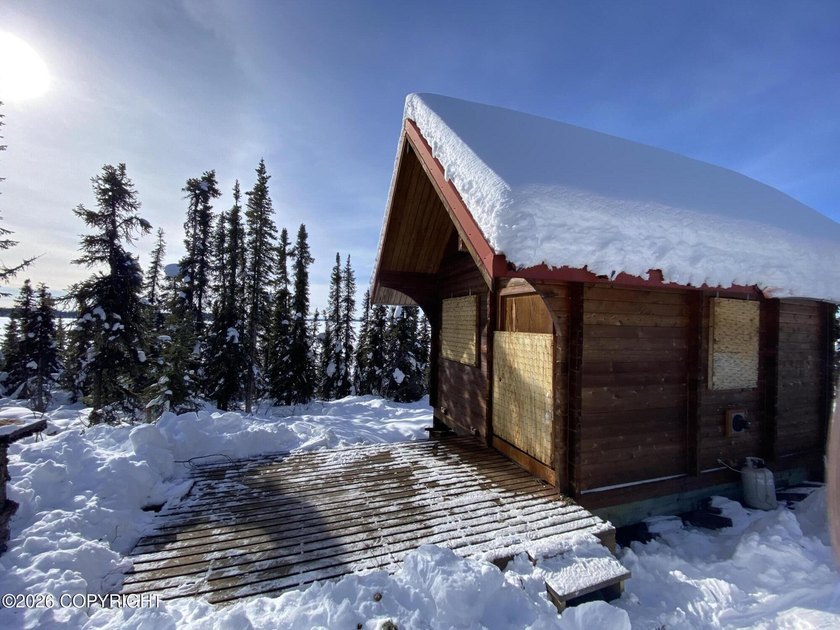 Cute Lindahl Cedar cabin on 4 acres of lakefront. Great fishing - photo 28