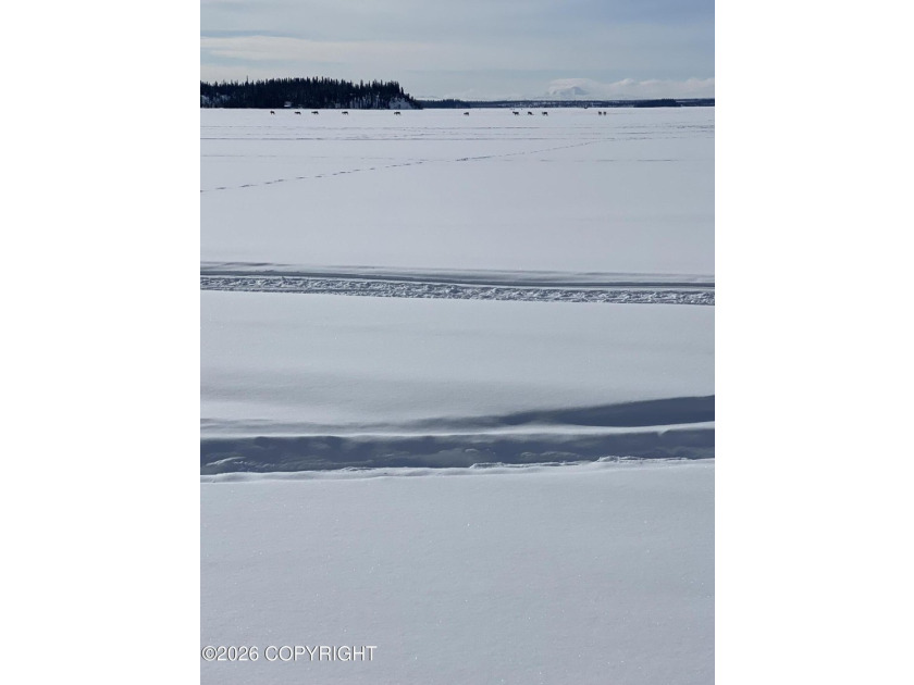 Cute Lindahl Cedar cabin on 4 acres of lakefront. Great fishing - photo 35