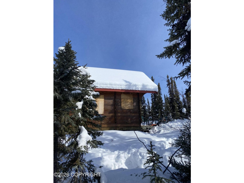Cute Lindahl Cedar cabin on 4 acres of lakefront. Great fishing - photo 36