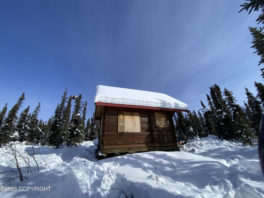 Cute Lindahl Cedar cabin on 4 acres of lakefront. Great fishing - photo 38