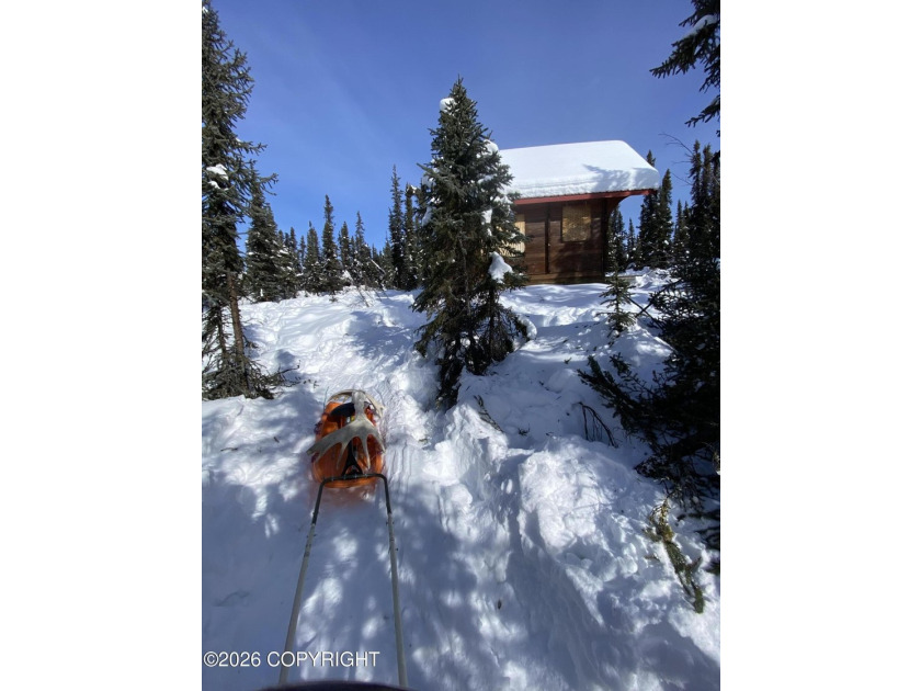 Cute Lindahl Cedar cabin on 4 acres of lakefront. Great fishing - photo 39