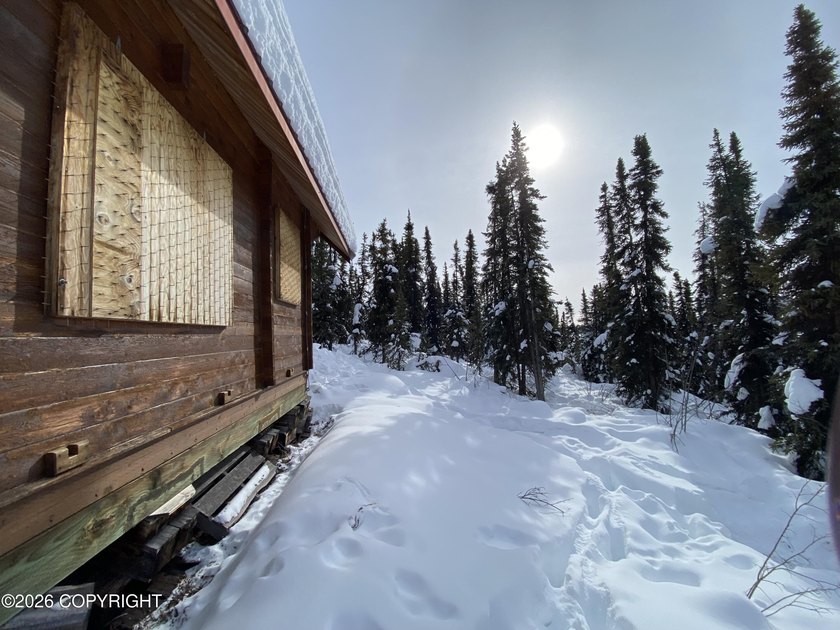 Cute Lindahl Cedar cabin on 4 acres of lakefront. Great fishing - photo 43