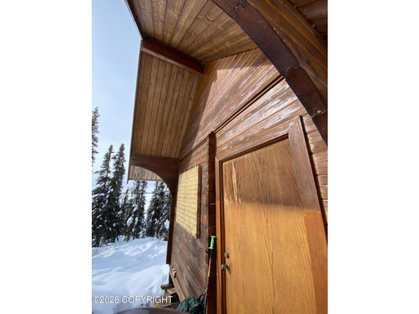 Cute Lindahl Cedar cabin on 4 acres of lakefront. Great fishing - photo 47