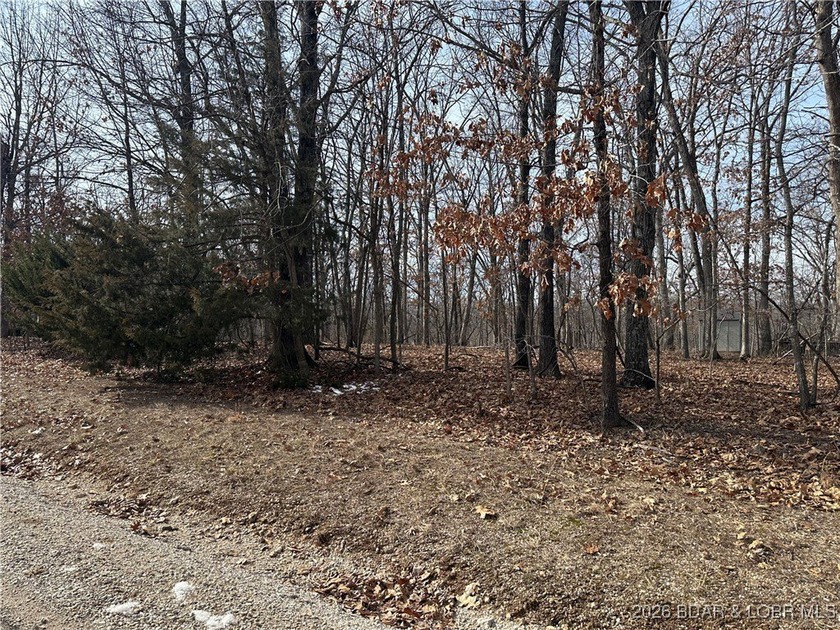 Beautiful Building Lot in the Village of Four Seasons. Nice and - photo 2