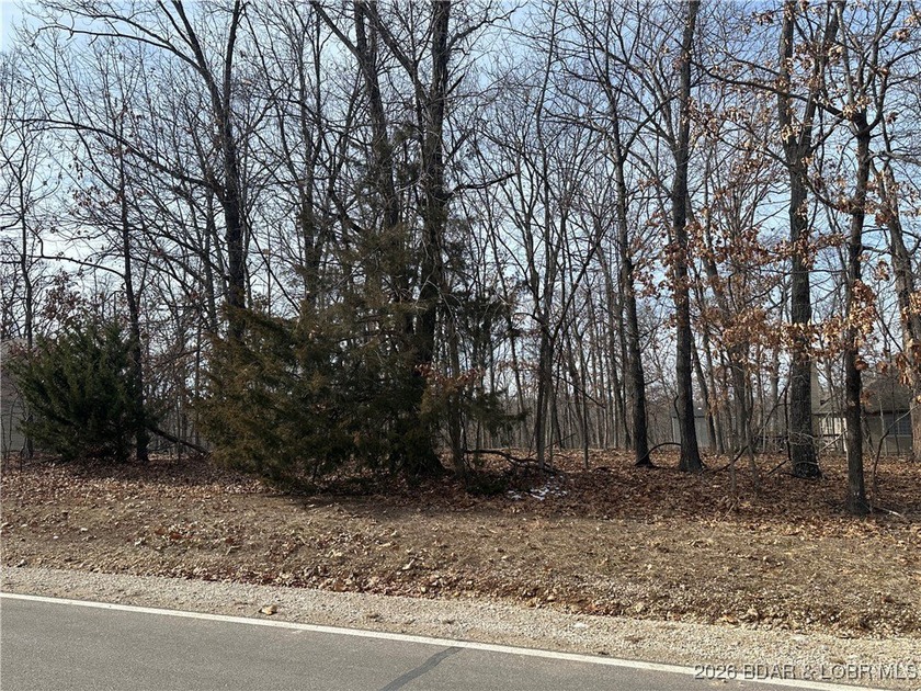 Beautiful Building Lot in the Village of Four Seasons. Nice and - photo 3