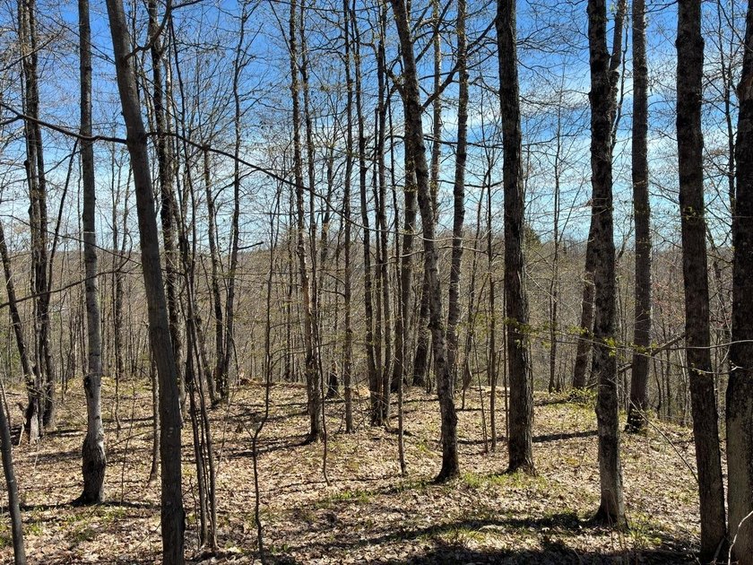 Perched at a premier high elevation, this unique mountaintop - photo 11