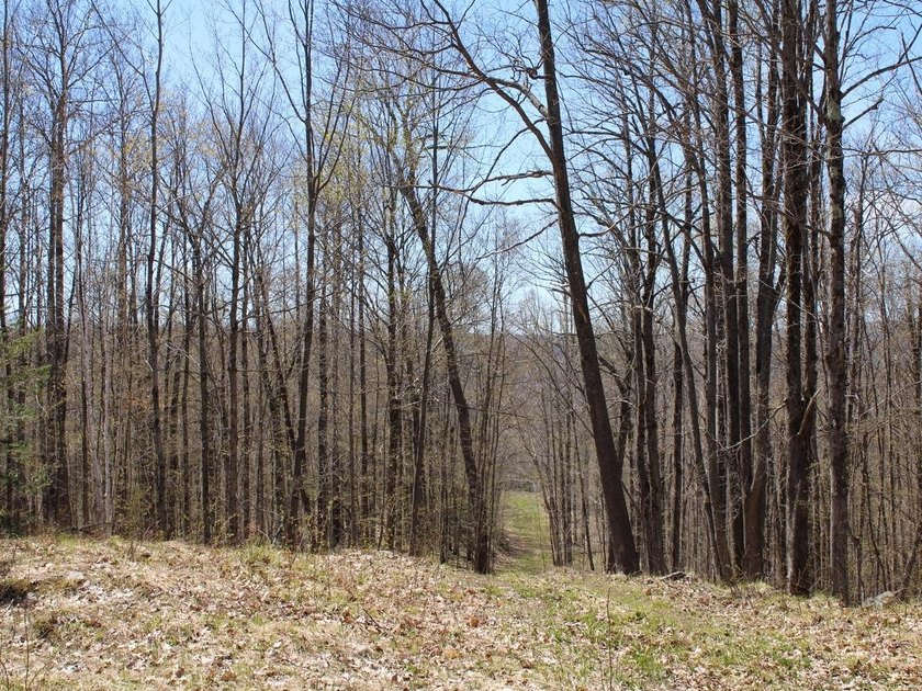 Perched at a premier high elevation, this unique mountaintop - photo 12