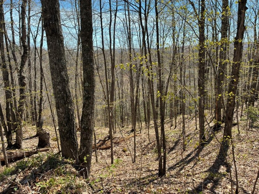 Perched at a premier high elevation, this unique mountaintop - photo 15