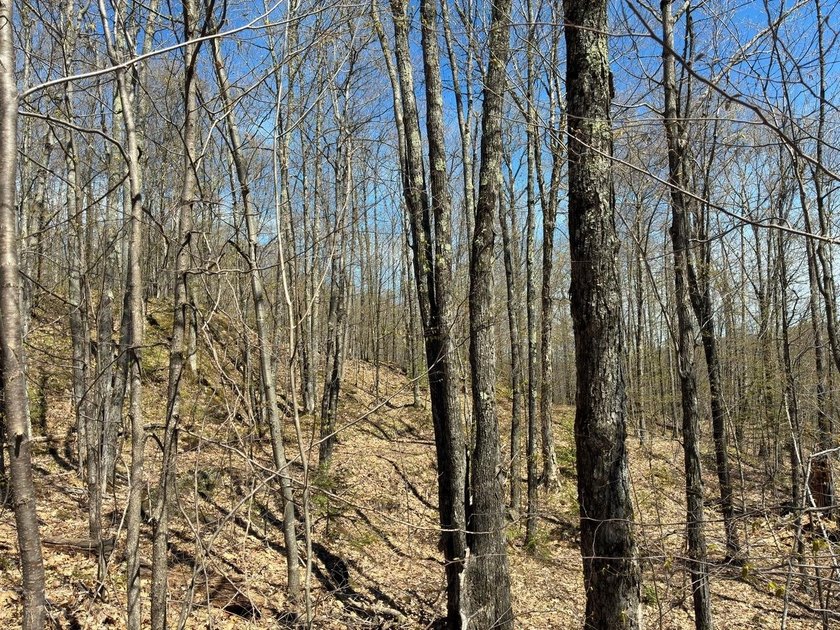 Perched at a premier high elevation, this unique mountaintop - photo 16