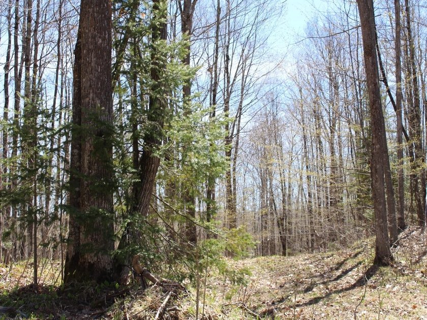 Perched at a premier high elevation, this unique mountaintop - photo 18