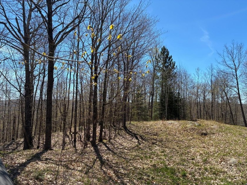 Perched at a premier high elevation, this unique mountaintop - photo 22