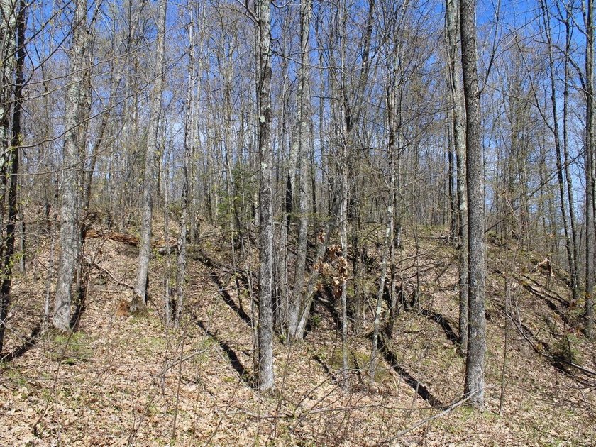 Perched at a premier high elevation, this unique mountaintop - photo 23