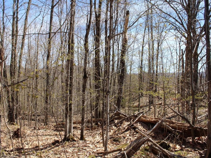 Perched at a premier high elevation, this unique mountaintop - photo 24