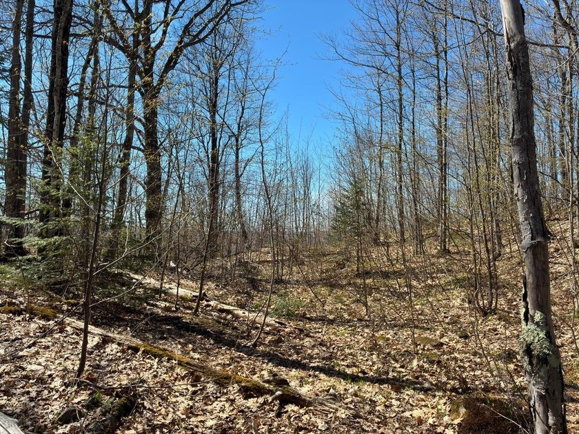 Perched at a premier high elevation, this unique mountaintop - photo 25