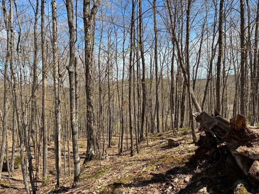 Perched at a premier high elevation, this unique mountaintop - photo 26