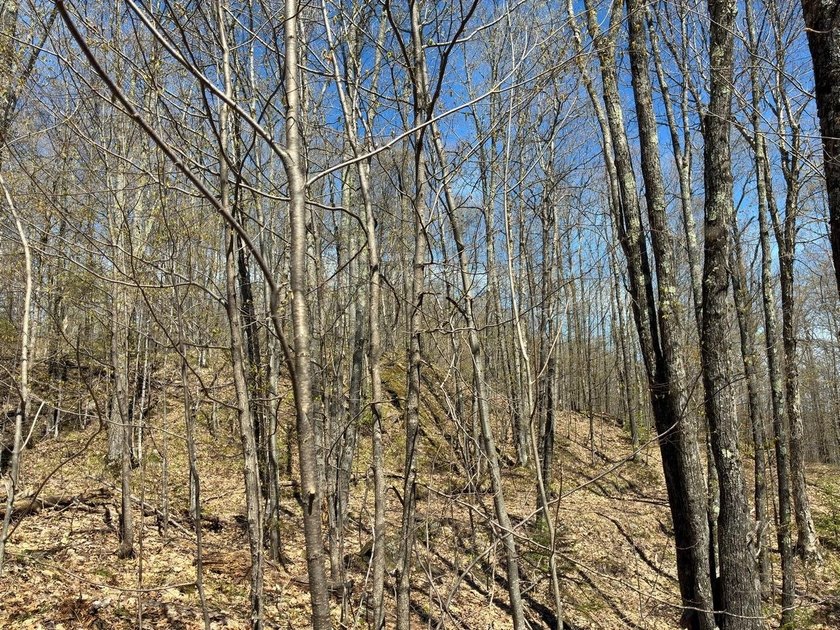 Perched at a premier high elevation, this unique mountaintop - photo 28