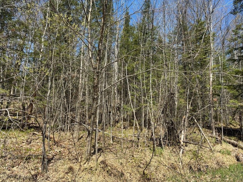 Perched at a premier high elevation, this unique mountaintop - photo 34