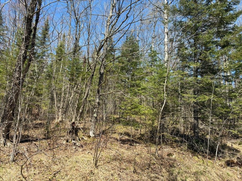 Perched at a premier high elevation, this unique mountaintop - photo 35