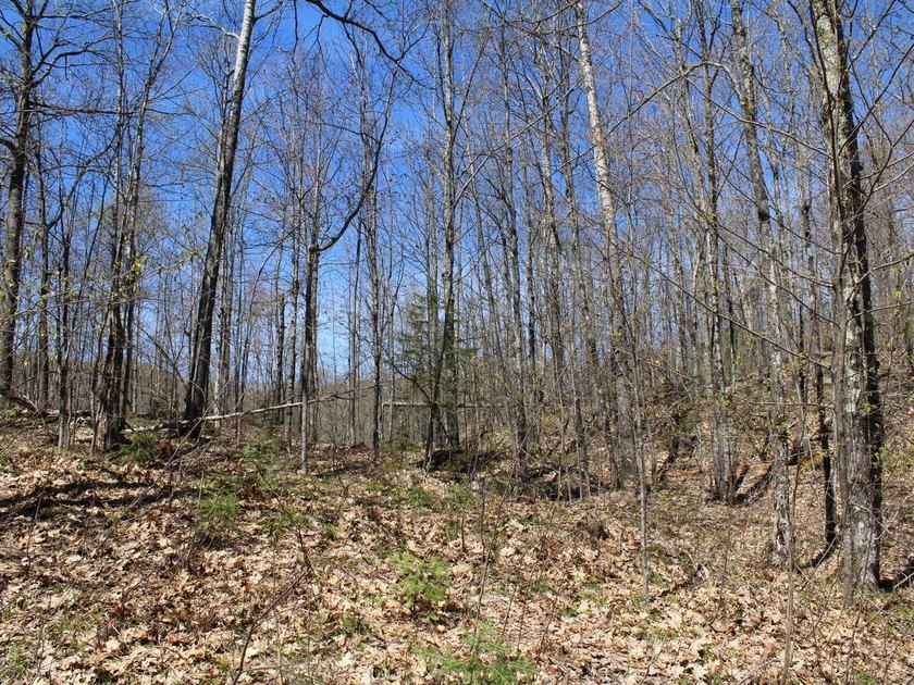 Perched at a premier high elevation, this unique mountaintop - photo 36