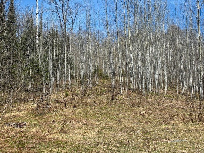 Perched at a premier high elevation, this unique mountaintop - photo 38