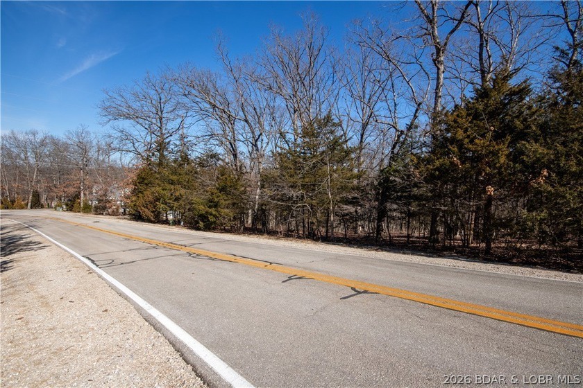 Flat 0.4-acre lot located in Four Seasons POA, offering an - photo 3