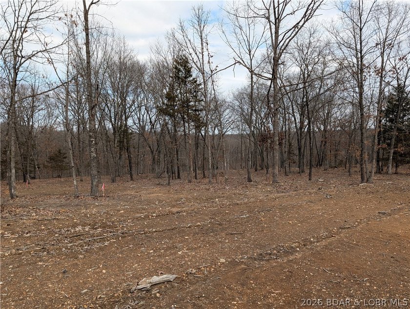Don't miss this rare opportunity to own a nice, gentle 3 acre - photo 3