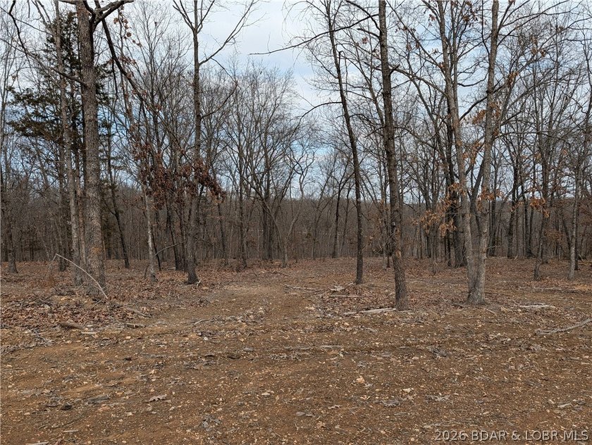 Don't miss this rare opportunity to own a nice, gentle 3 acre - photo 4