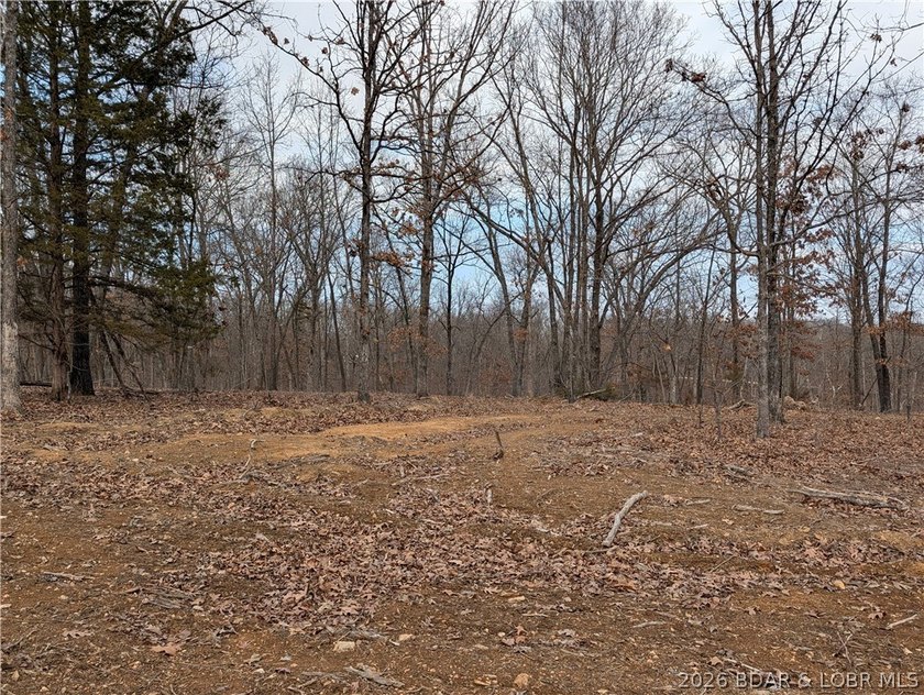 Don't miss this rare opportunity to own a nice, gentle 3 acre - photo 6