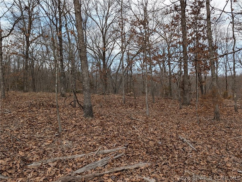 Don't miss this rare opportunity to own a nice, gentle 3 acre - photo 7