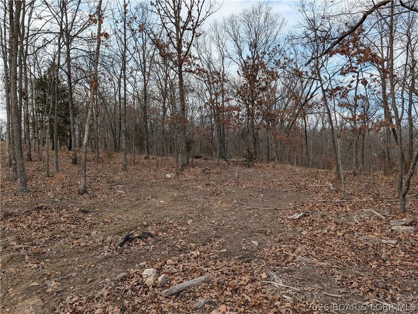 Don't miss this rare opportunity to own a nice, gentle 3 acre - photo 8