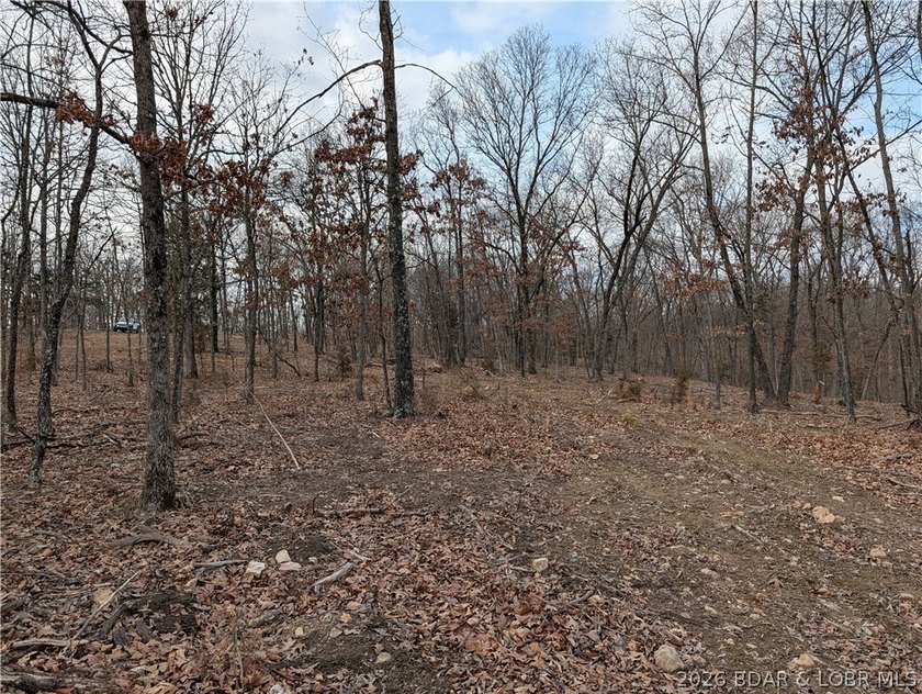 Don't miss this rare opportunity to own a nice, gentle 3 acre - photo 9