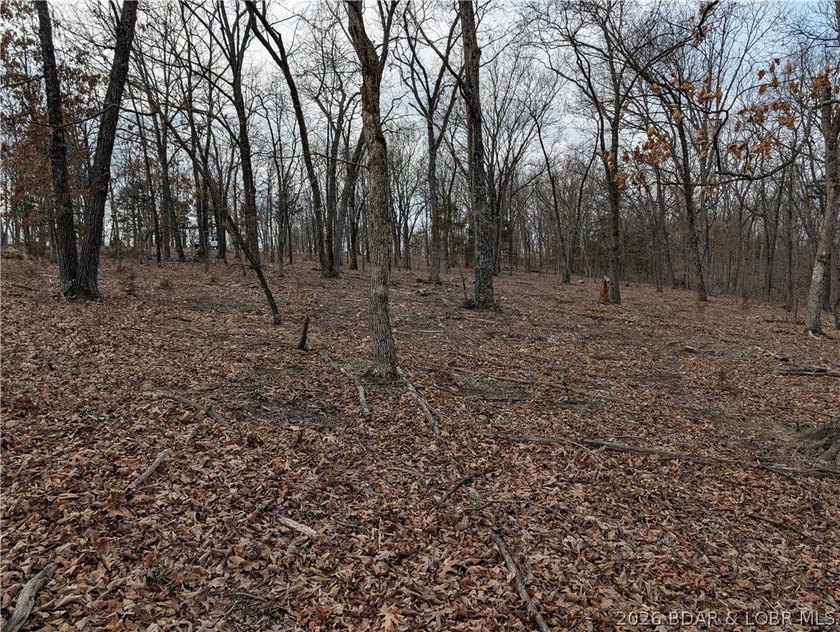 Don't miss this rare opportunity to own a nice, gentle 3 acre - photo 10