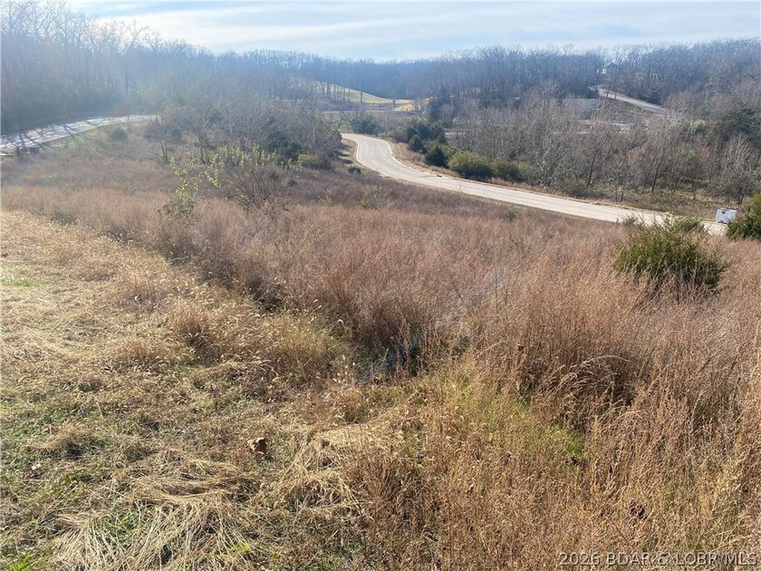 Outstanding 9 lots development opportunity in Country Club Cove - photo 3
