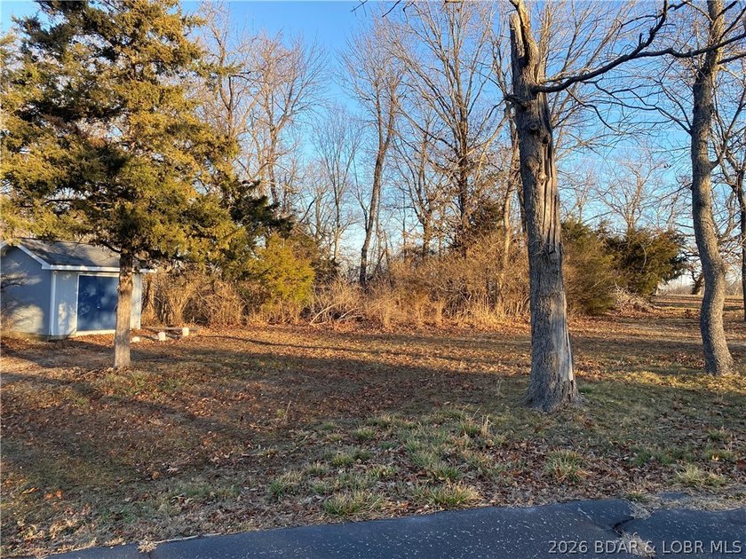 Prime 5-Acre Development Opportunity! This 5-acre parcel - photo 4
